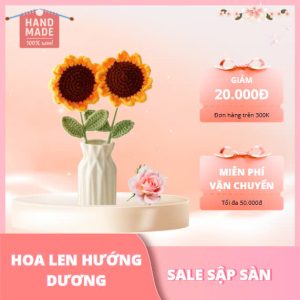 Hoa len hướng dương bình cao.