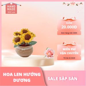 Hoa len hướng dương lùn