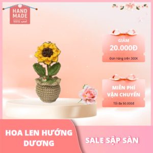Hoa len hướng dương cao